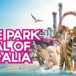 Gold Coast theme park accommodation